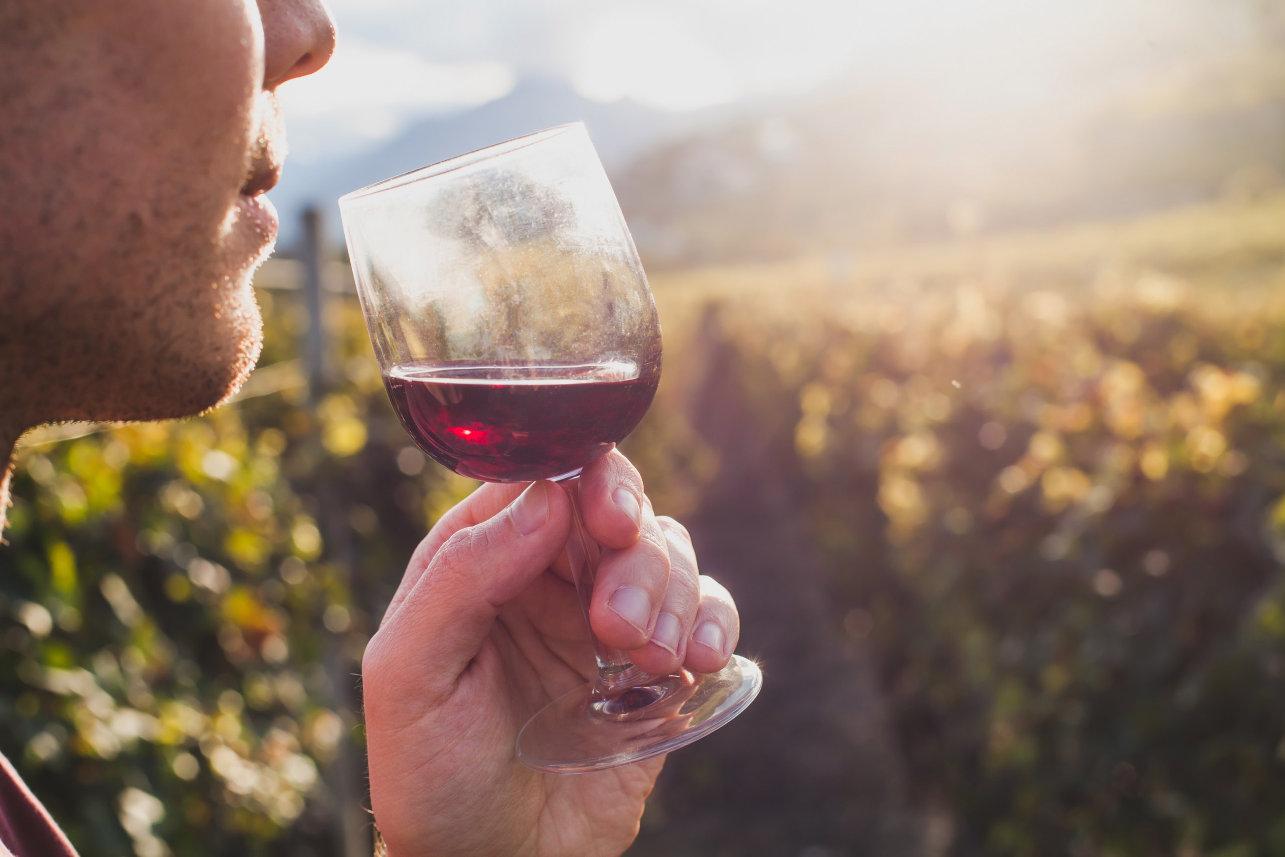 Chianti Wine Tour: Your Private Car Awaits